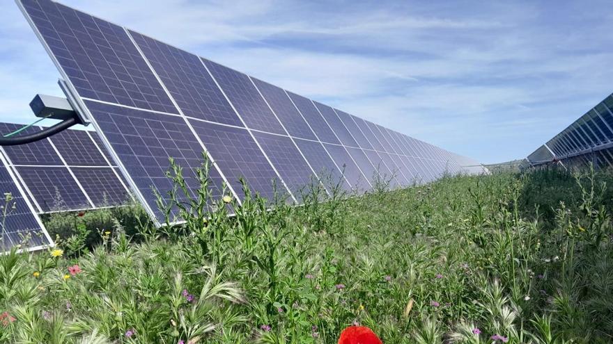 Planta solar fotovoltaica Guadacano de la compañía Ignis entre Archidona y Antequera.