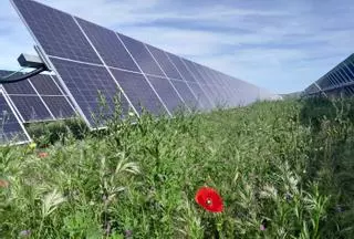 Entra en marcha una planta solar entre Archidona y Antequera que producirá energía para 34.000 viviendas