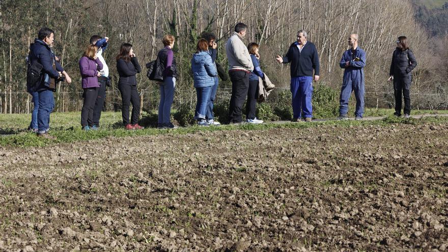 José Vega: &quot;La escanda requiere una atención y un trabajo constante, no es solo sembrarla&quot;