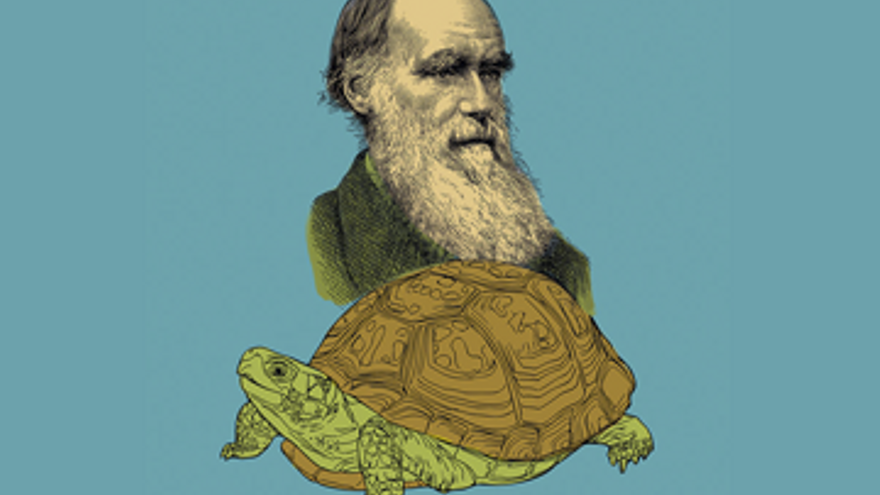 La tortuga de Darwin