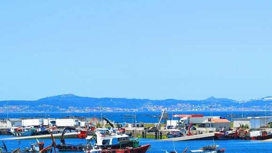 Porto Meloxo (O Grove), uno de los muelles más castigados por la presencia de biotoxinas marinas en las rías gallegas.  // Muñiz