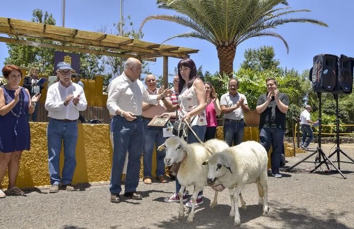 ARUCAS GRAN CANARIA A 28/05/2017 Entrega de premios concurso de ganado del Cabildo de Gran Canaria. FOTO: J.PÉREZ CURBELO