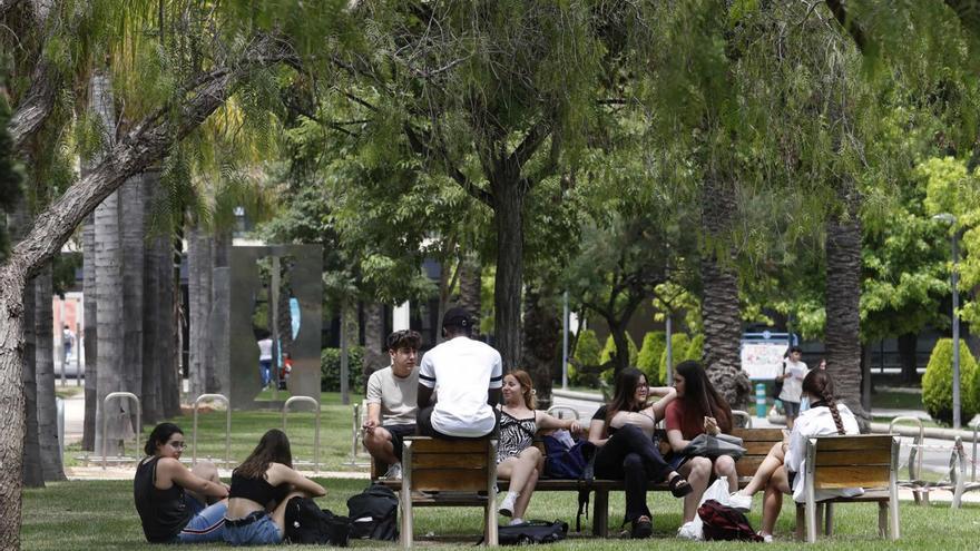 Estudiantes reunidos en el Campus de la UPV, en una imagen de archivo. | J. M. LÓPEZ