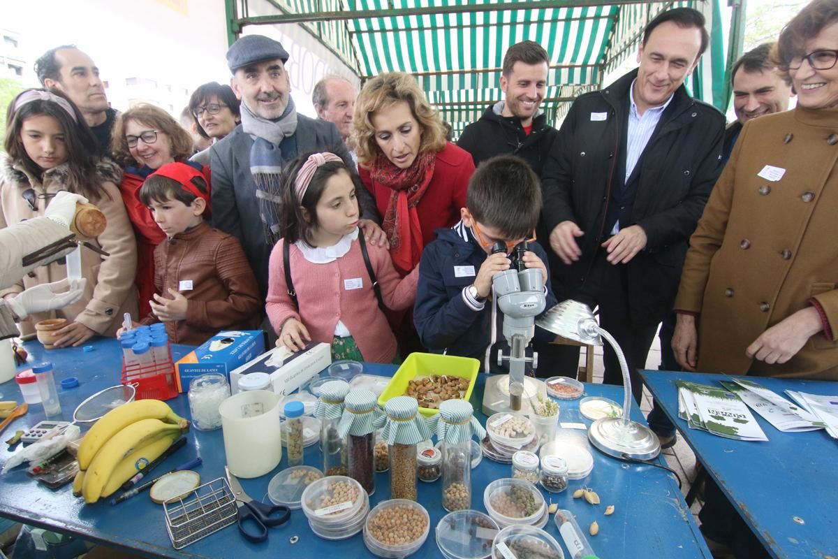 Un Paseo por la Ciencia en el Vial