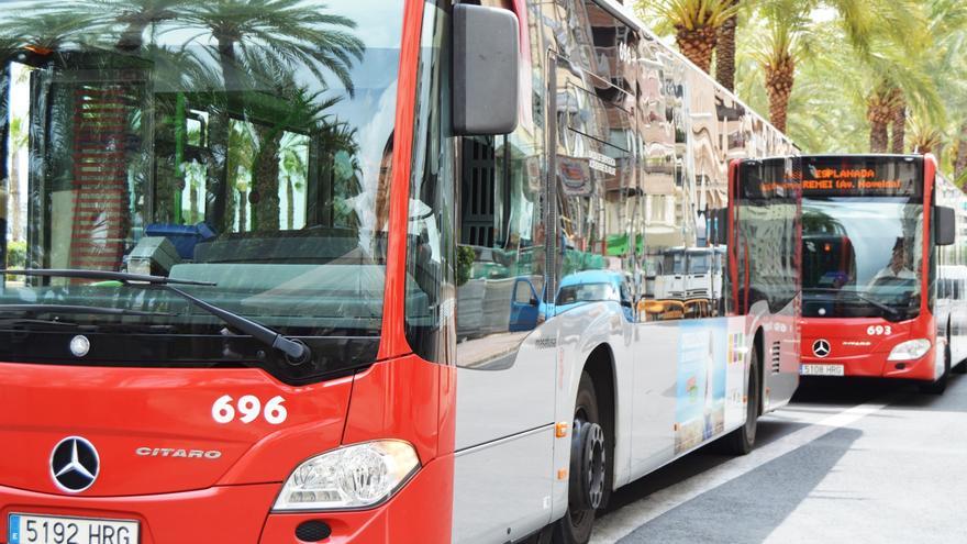 Así son las nuevas líneas de bus en Alicante que empiezan este sábado