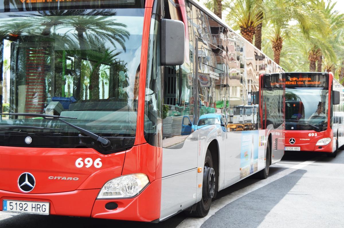 Dos autobuses urbanos de Alicante.