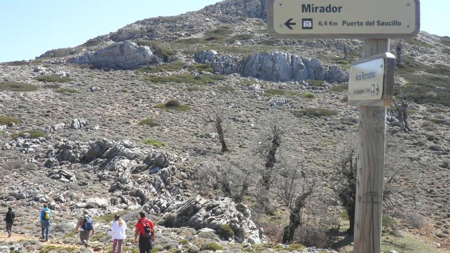 Subida al pico Torrecillas en la Sierra de las Nieves.