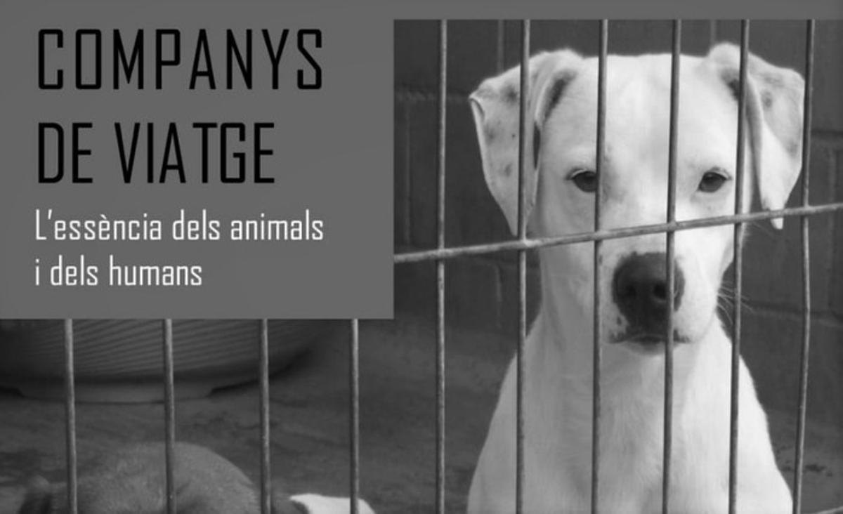La Biblioteca Pompeu Fabra de Mataró acull una exposició sobre l’essència d’animals i humans La Biblioteca Pompeu Fabra de Mataró acull una exposició sobre l’essència d’animals i humans