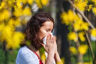 Empieza la primavera: ¿Cómo será para los alérgicos? ¿Afectará la falta de lluvias?