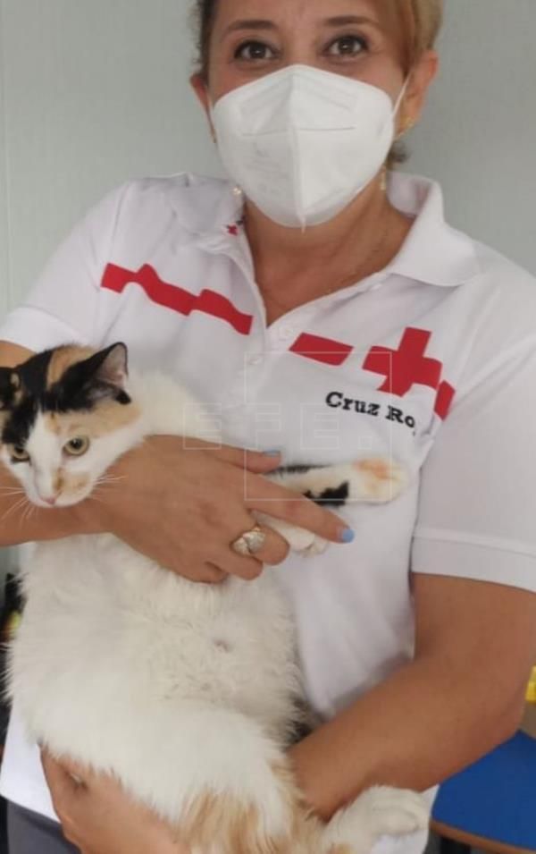 Una voluntaria de Cruz Roja con "Mina" en brazos