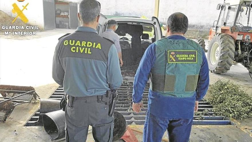 Tres detenidos con más de mil kilogramos de aceituna robada en Cabra