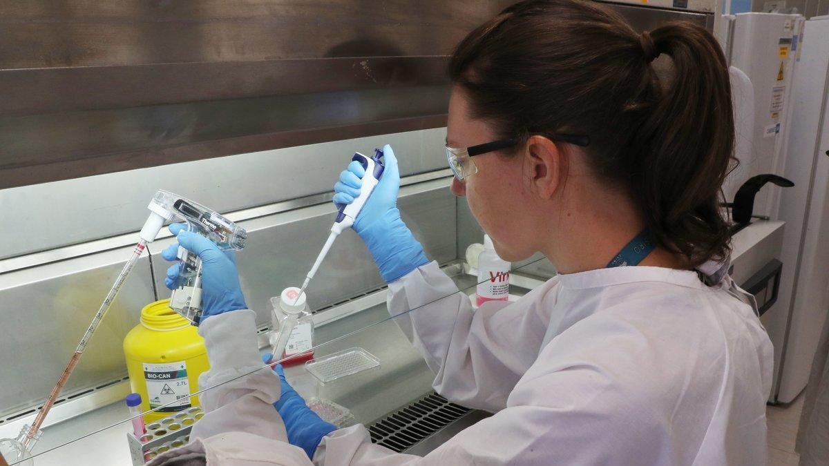 Un equipo de científicos de Florida descubre una mutación que hace más eficaz al covid-19