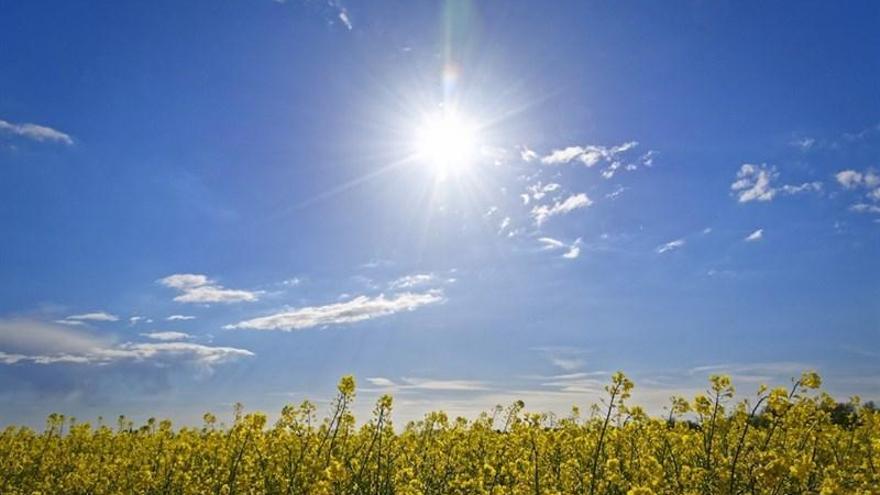 Varios puntos de Extremadura permanecerán este martes en alerta amarilla por altas temperaturas