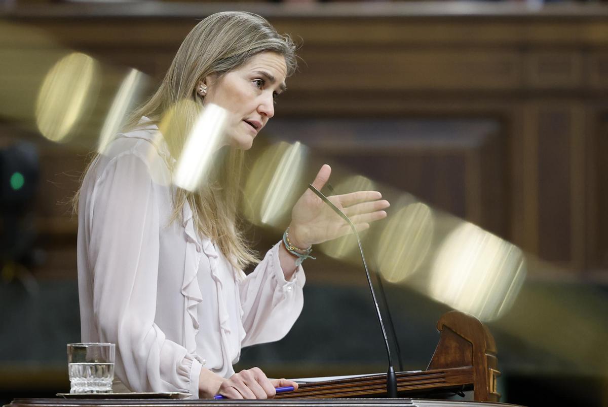 El Govern aprofita el decret anticrisi per llançar un altre salvavides a centenars de plantes renovables