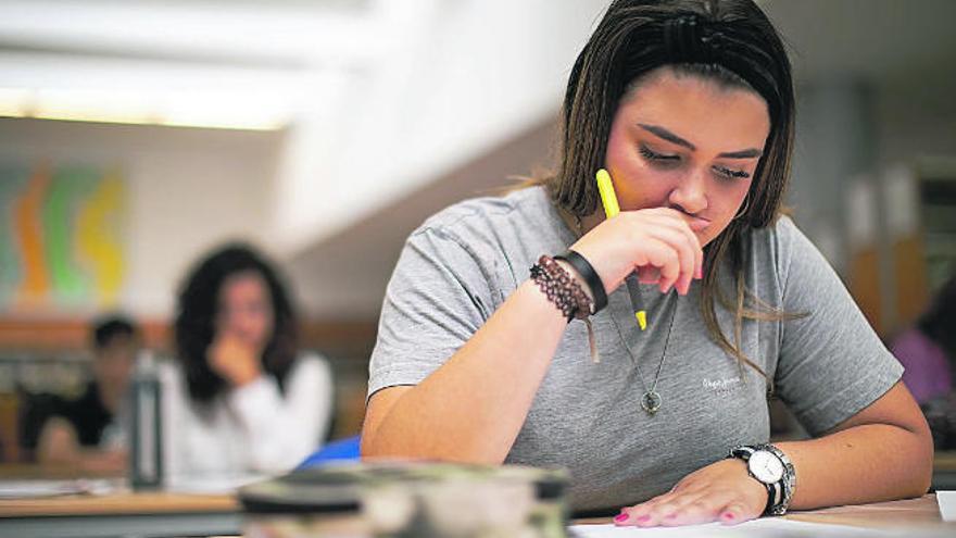 Una joven estudiante, concentrada ante sus apuntes en la biblioteca.