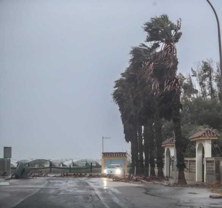 Efectos de la borrasca en El perellonet