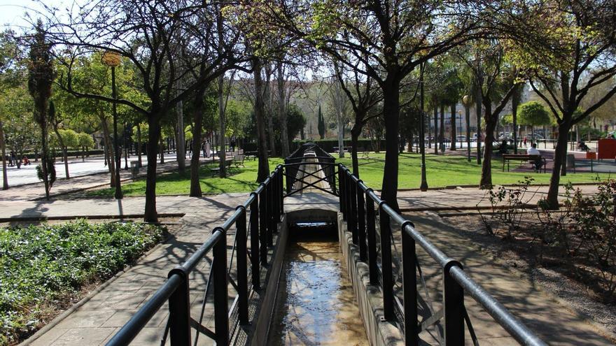 Valencia reconocida como &quot;Ciudad Arbórea del Mundo&quot;