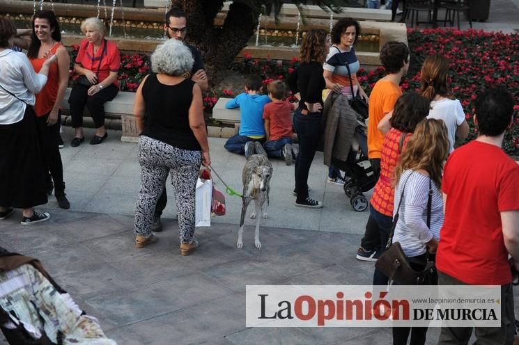 Manifestación contra la LOMCE en Murcia