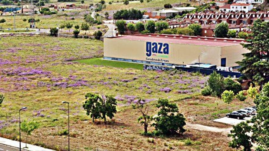 Fábrica de Gaza y zona sobre la que se plantea la ampliación.