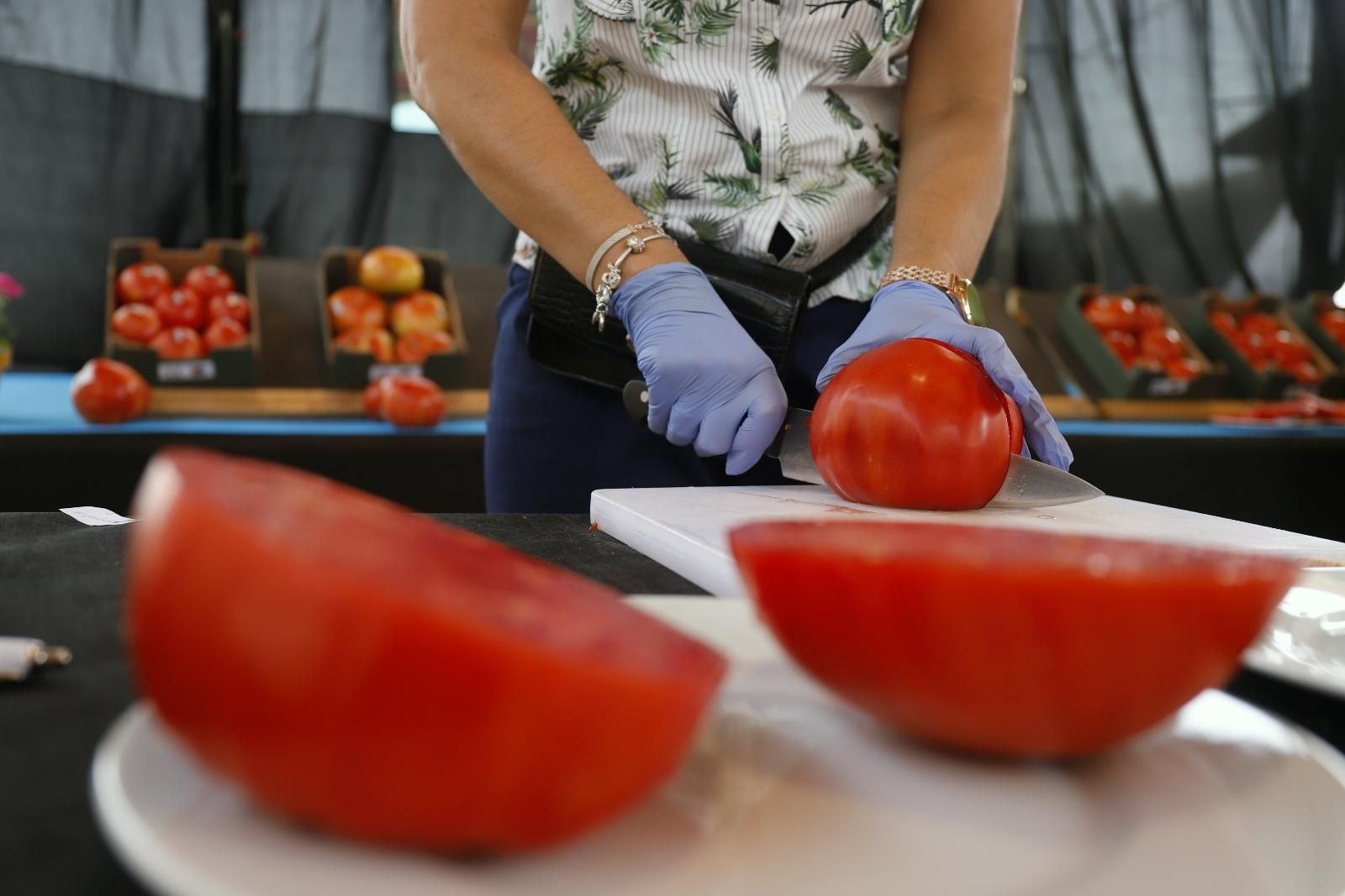 Concurso hortofrutícola de Coín y subasta Mejor Tomate Huevo de Toro