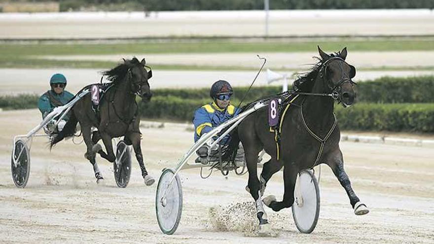 Fortunato Dream, con Toni Frontera, aparece en la recta de meta por delante de Au Pair Girl, con Joan Bauzá.