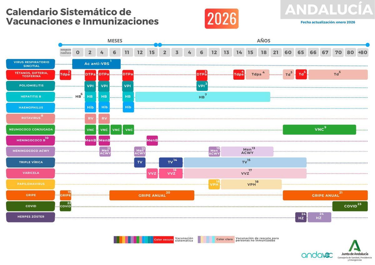 Calendario de vacunación en Andalucía en 2026.