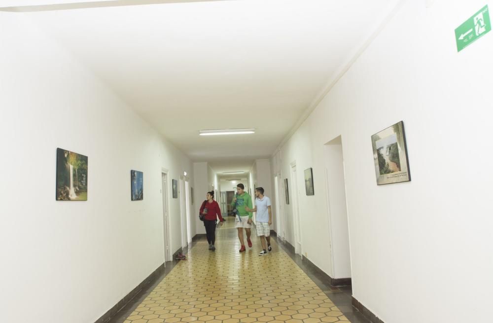 Turistas que visitan Oviedo