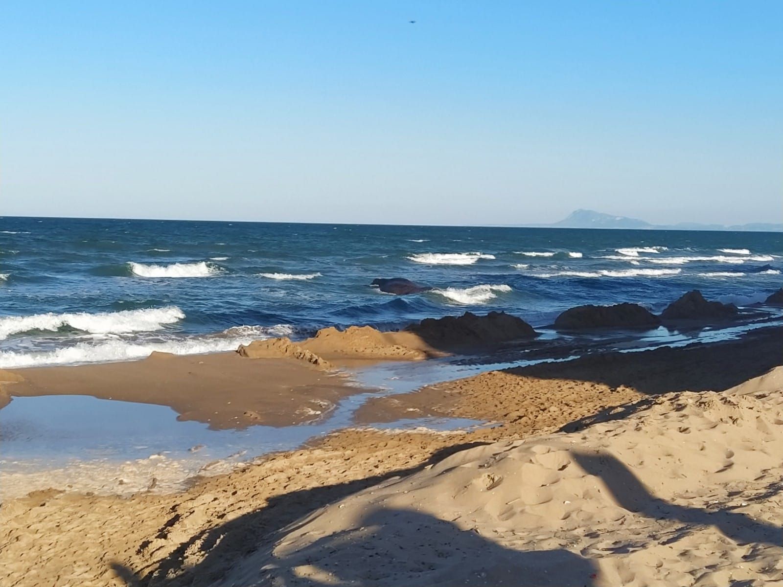 Avistan una ballena en la playa de Tavernes de la Valldigna