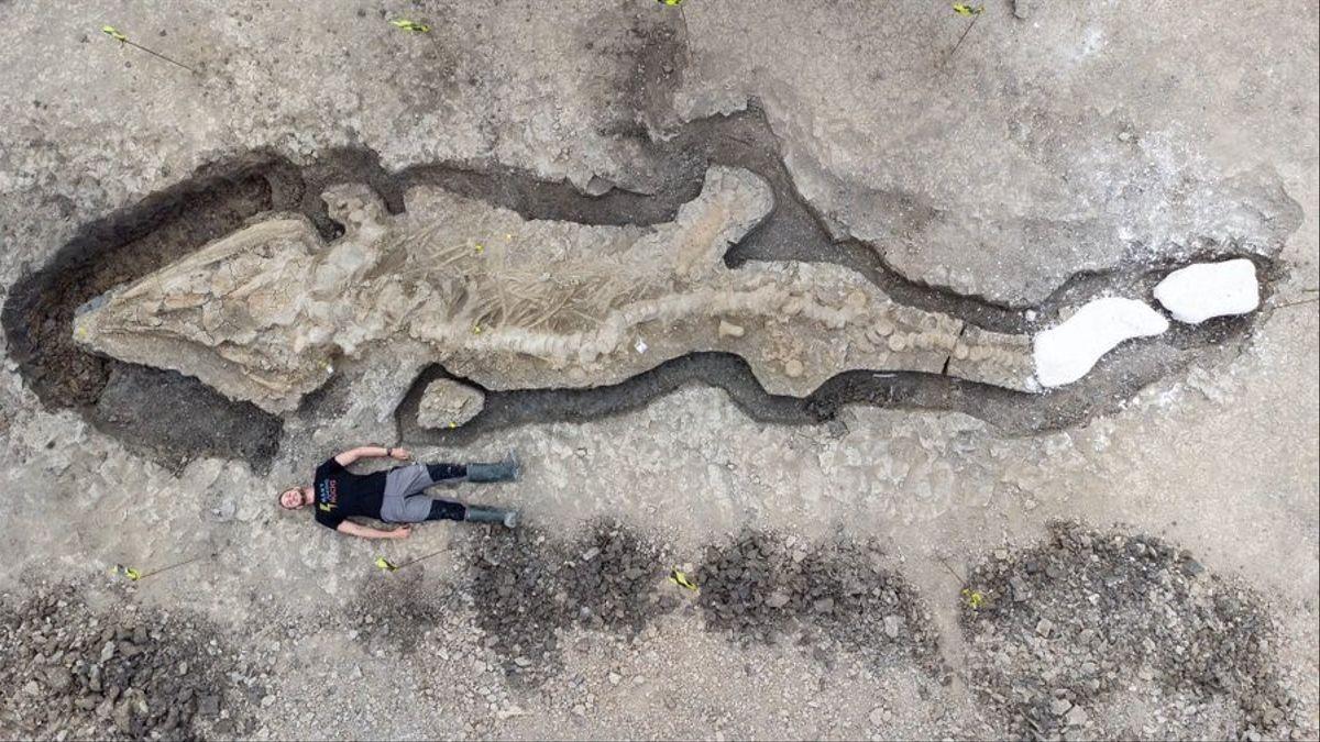 El ‘drac marí’ de 10 metres fossilitzat a la Reserva Natural de Rutland Water, a Anglaterra