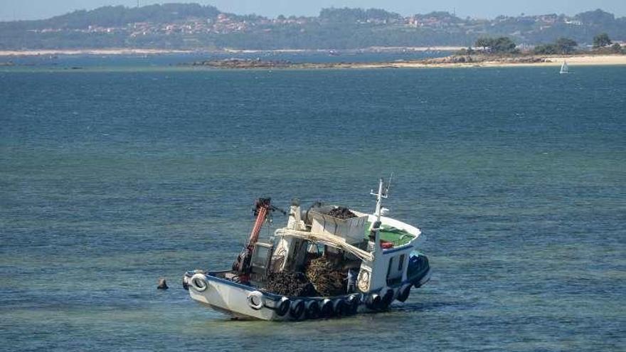 El barco, varado en las inmediaciones del puente de A Illa. // N.P.