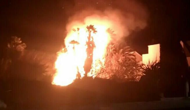 Incendio en un palmeral en Costa Teguise