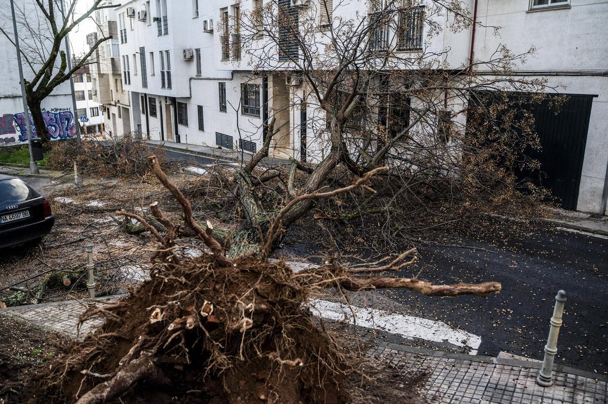 Fotogalería | El temporal en Cáceres, más imágenes