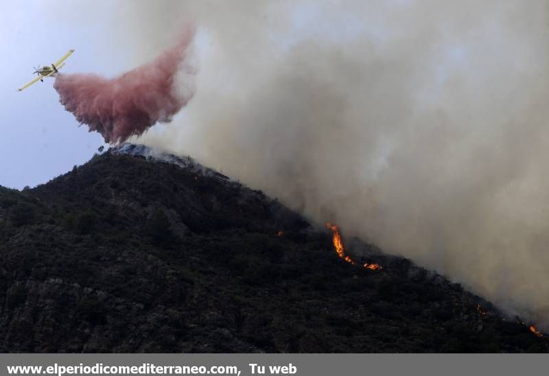 GALERIA DE IMÁGENES  - INCENDIO FORESTAL EN LA VALL