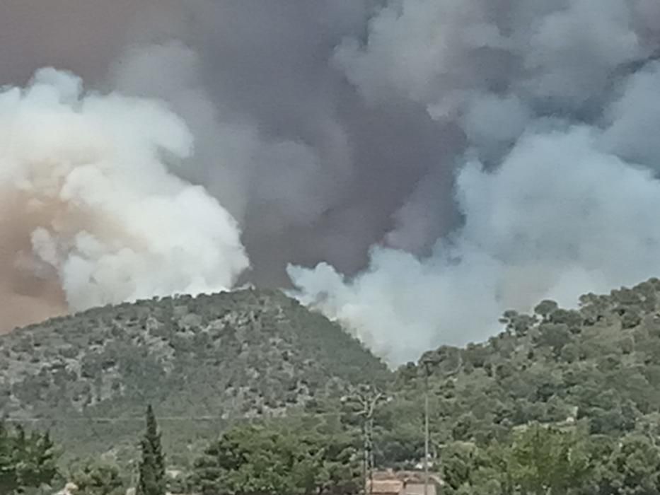 Incendio forestal en Monóvar