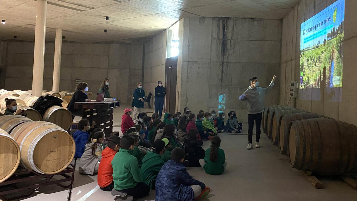 La iniciativa ha tenido una gran aceptación entre los colegios de la comarca.