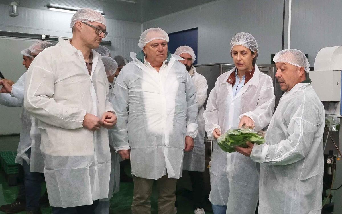 María José Gómez visitó en Laracha la explotación Hortalizas R. López