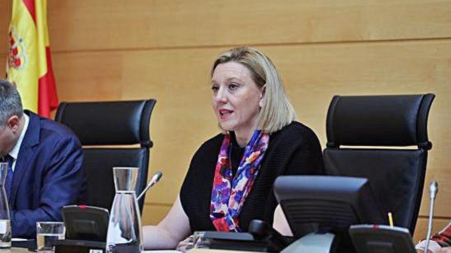 Isabel Blanco, durante su comparecencia en las Cortes para explicar los objetivos de legislatura.