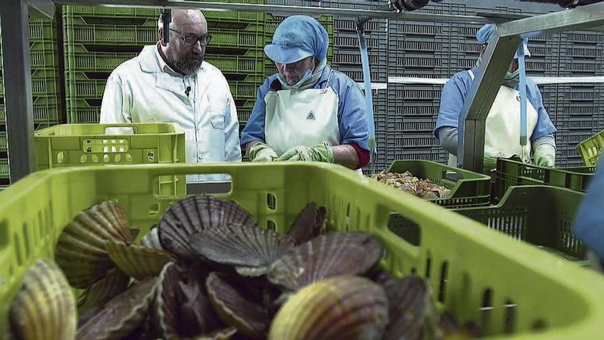 &#039;Pescadores de historias&#039; visita Cambados, un dos portos onde a vieira é moi representativa