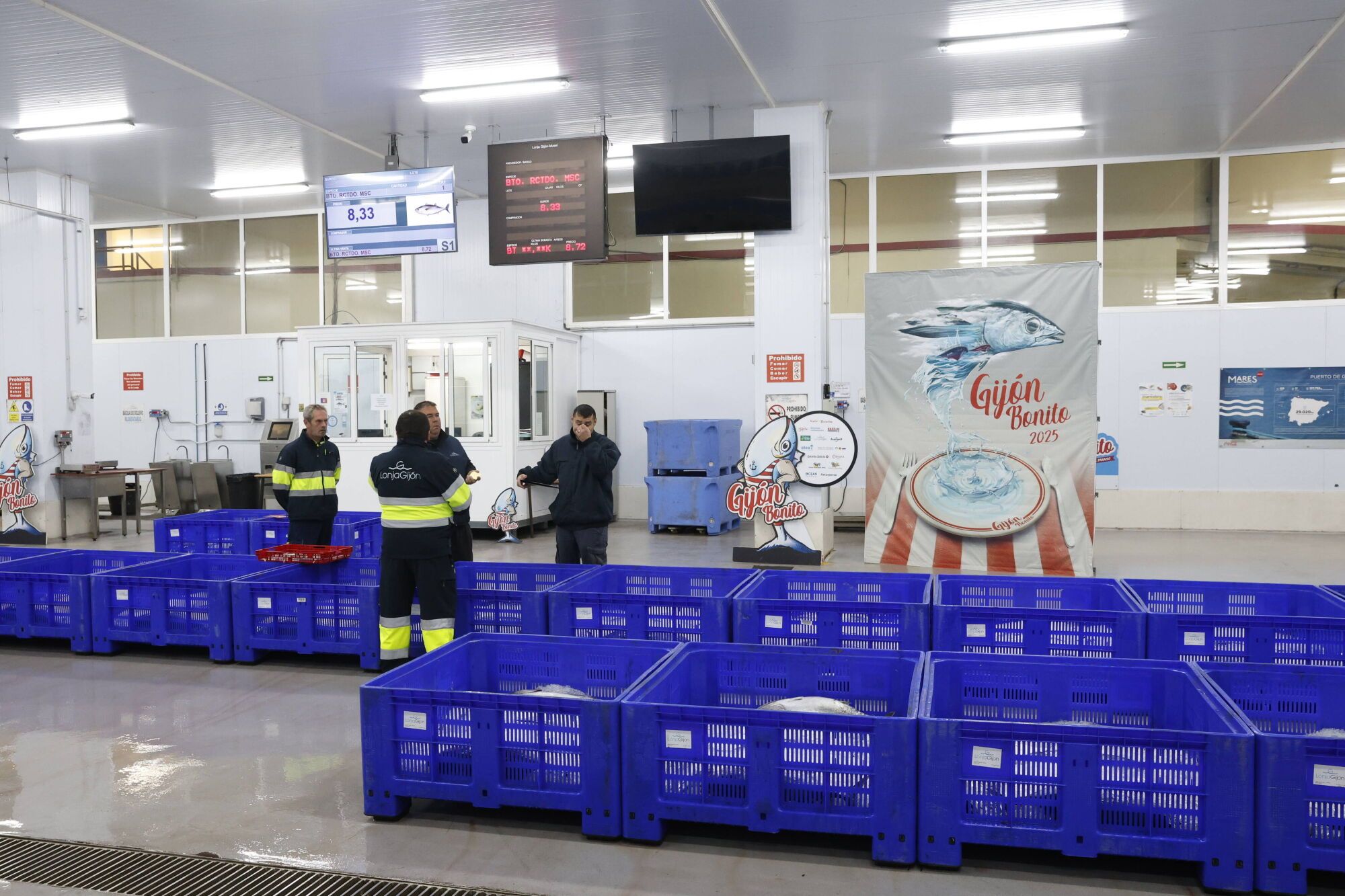 EN IMÁGENES: La campaña de bonito arranca en la lonja de Gijón con una descarga de 2.800 kilos: "El pescado está cambiando las rutinas"