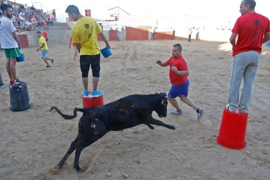 Fiestas en Zamora: Gran prix en Coreses