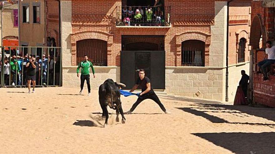 Un aficionado emplea una chaqueta azul como capote en el encierro de Cañizal.