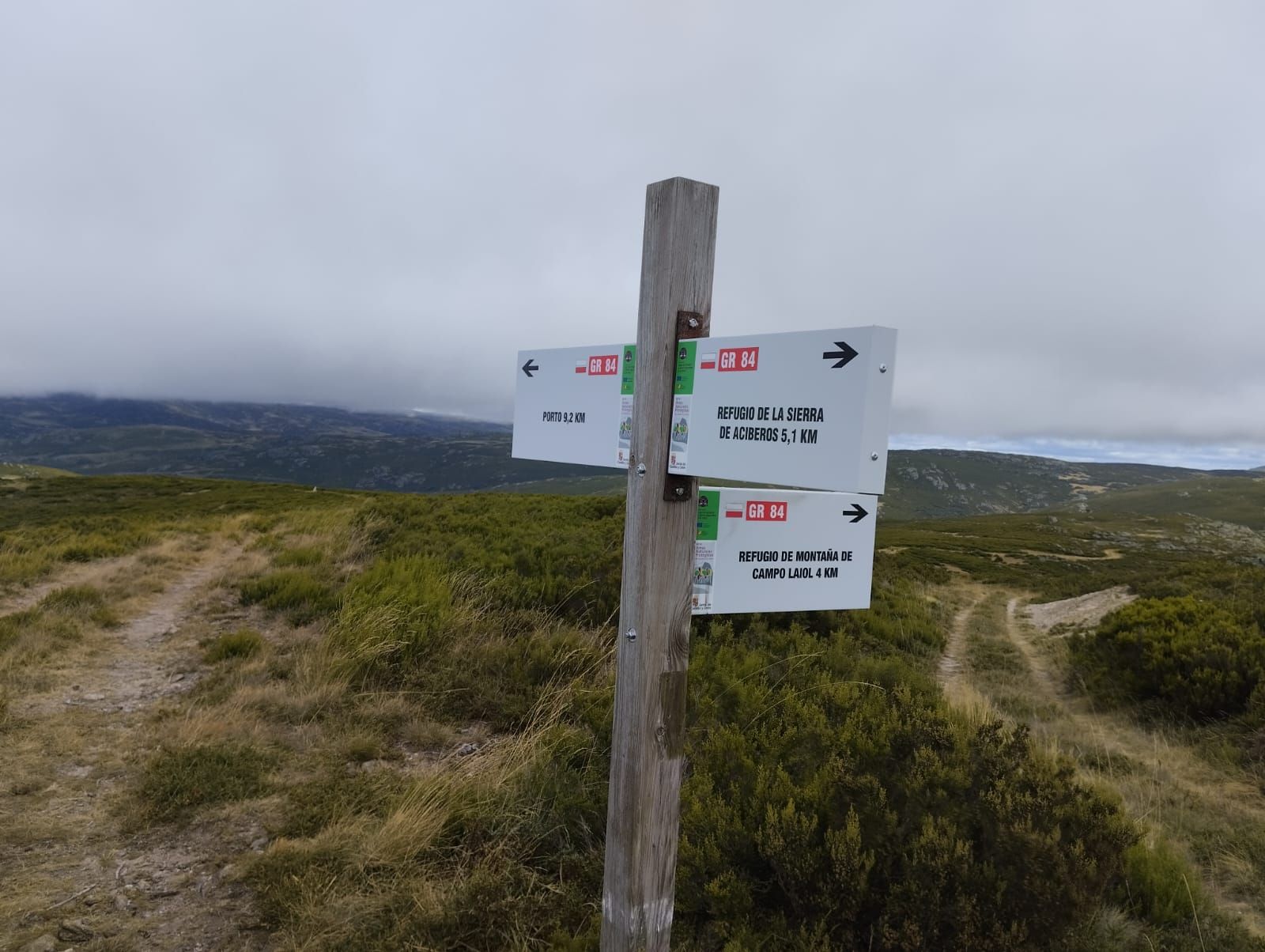 her essence captivating my soul