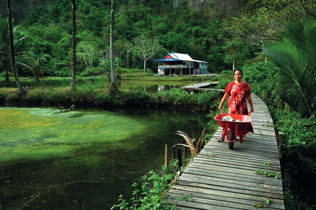 Aldea de las islas de Sulawesi