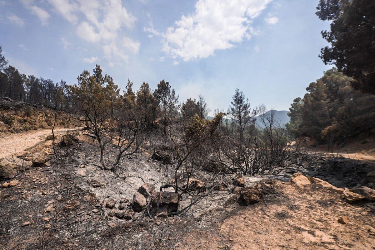 Fuego en Baix Ebre. Los bomberos trabajan en el incendio forestal en Paüls, Tarragona, este martes.