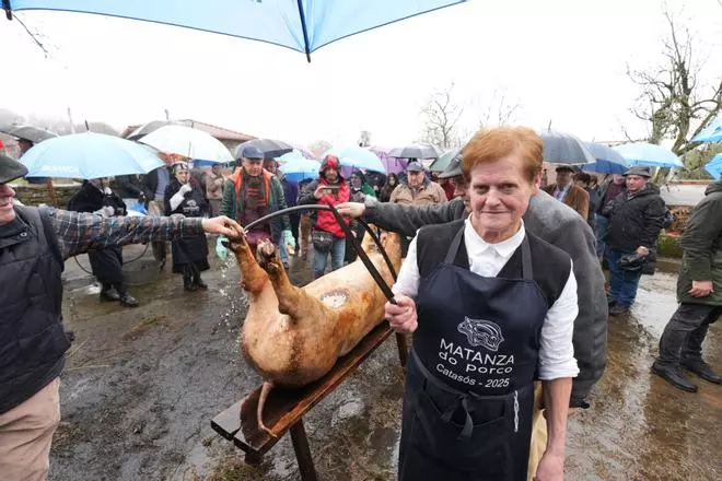 Matanza en Lalín: en las entrañas de la tradición