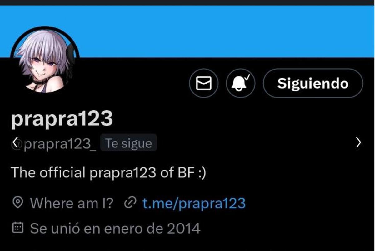 Prapra123 fue detenido en 2024 por su supuesta autoría de numerosos ataques a instituciones españolas, a Interpol y a los Mossos. Tenía un canal en Telegram para negociar las ventas