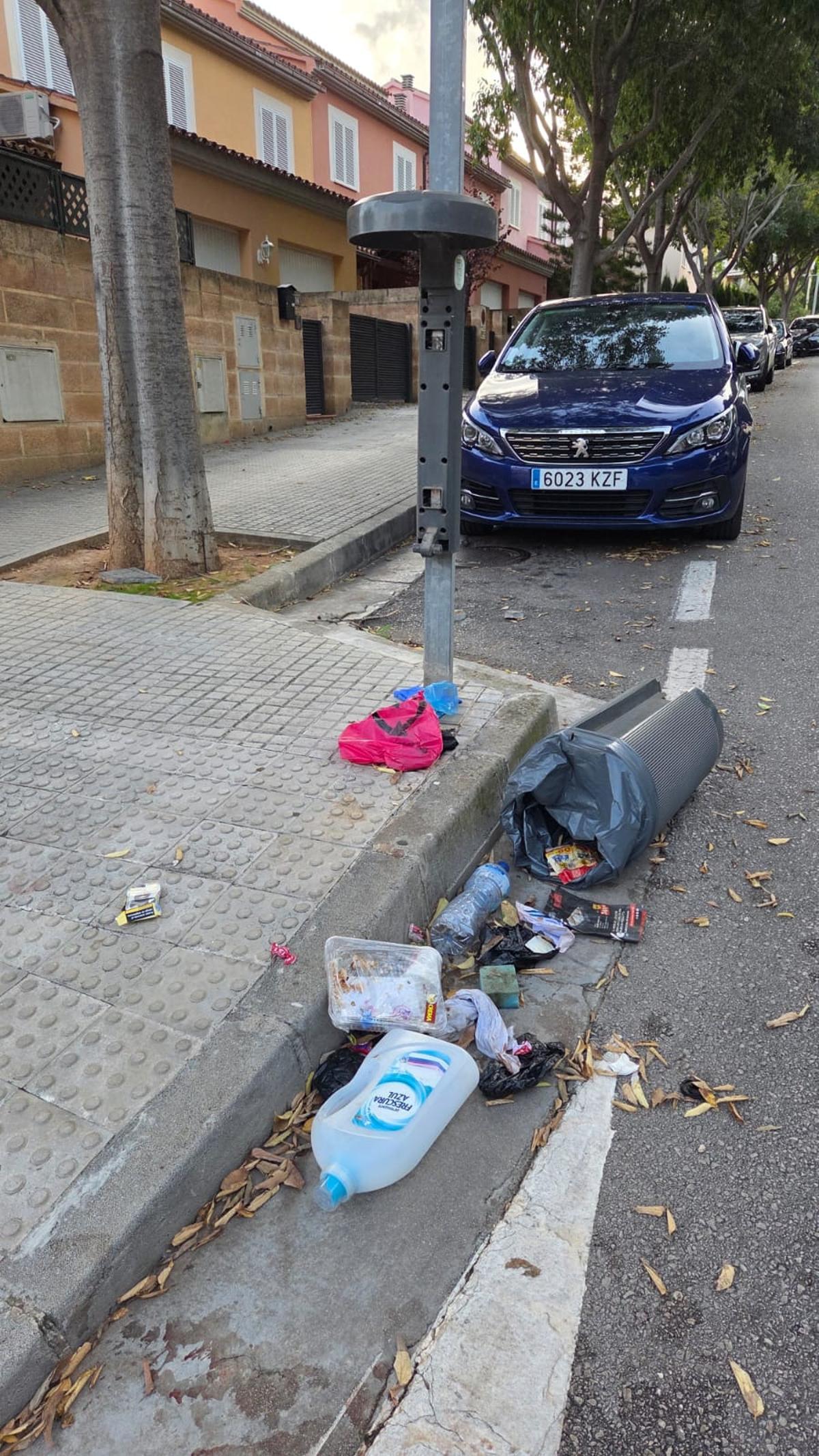 La papelera donde aparecieron las vísceras.