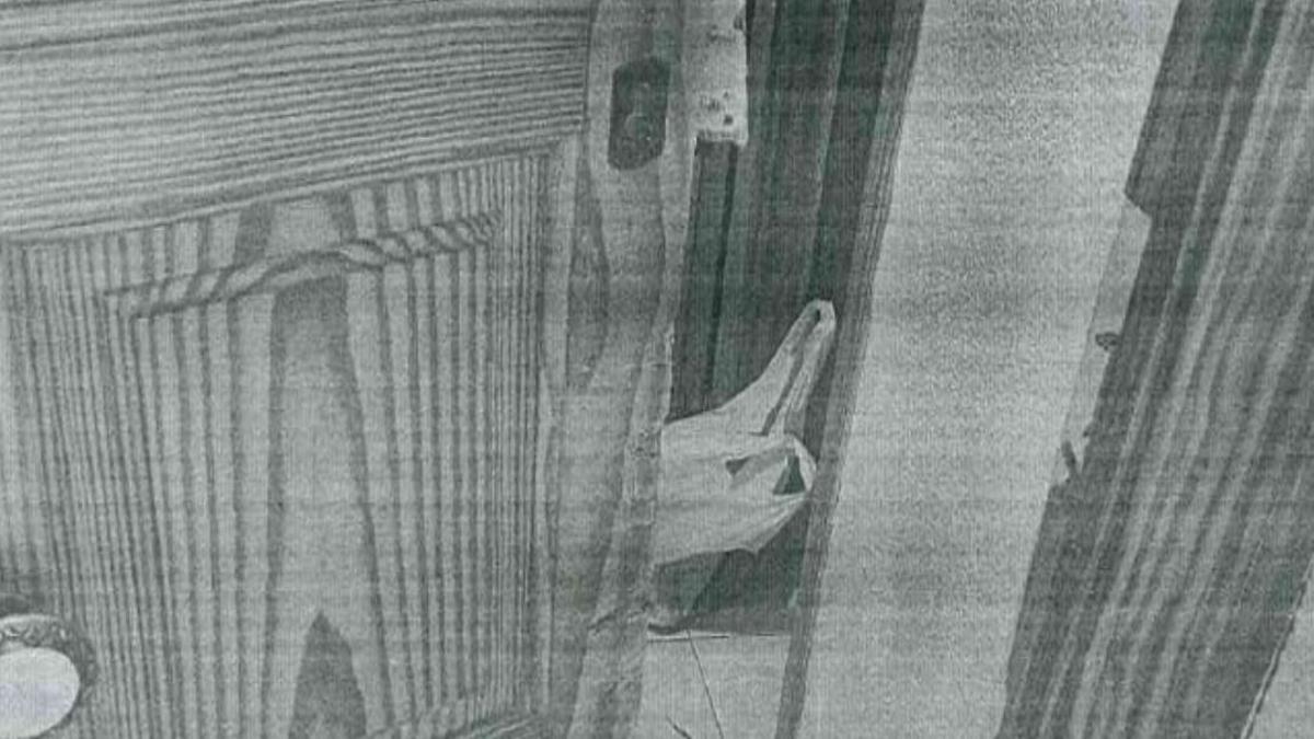 Puerta forzada por un intruso de la vivienda de una anciana ausente en Son Gotleu.