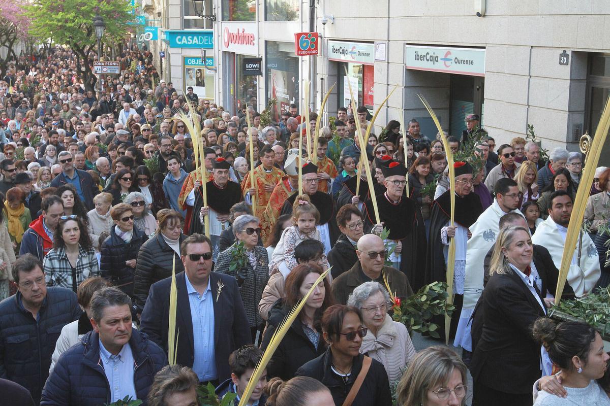 Cientos de fieles, con ramos y palmas, acompañaron a Jesús de Nazaret desde San Lázaro hasta la catedral