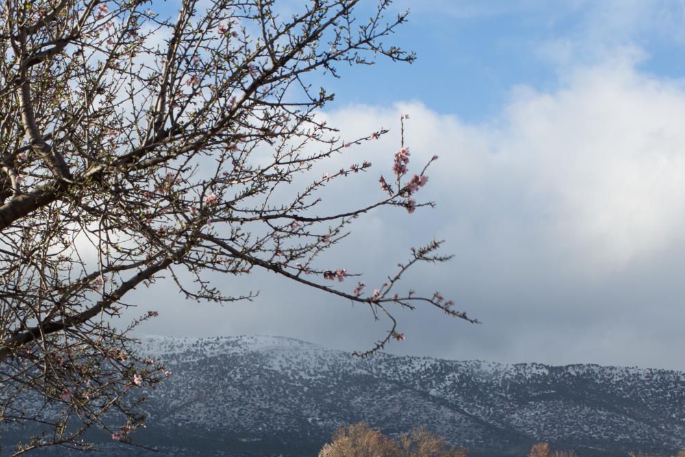 Primeras nieves en la Región